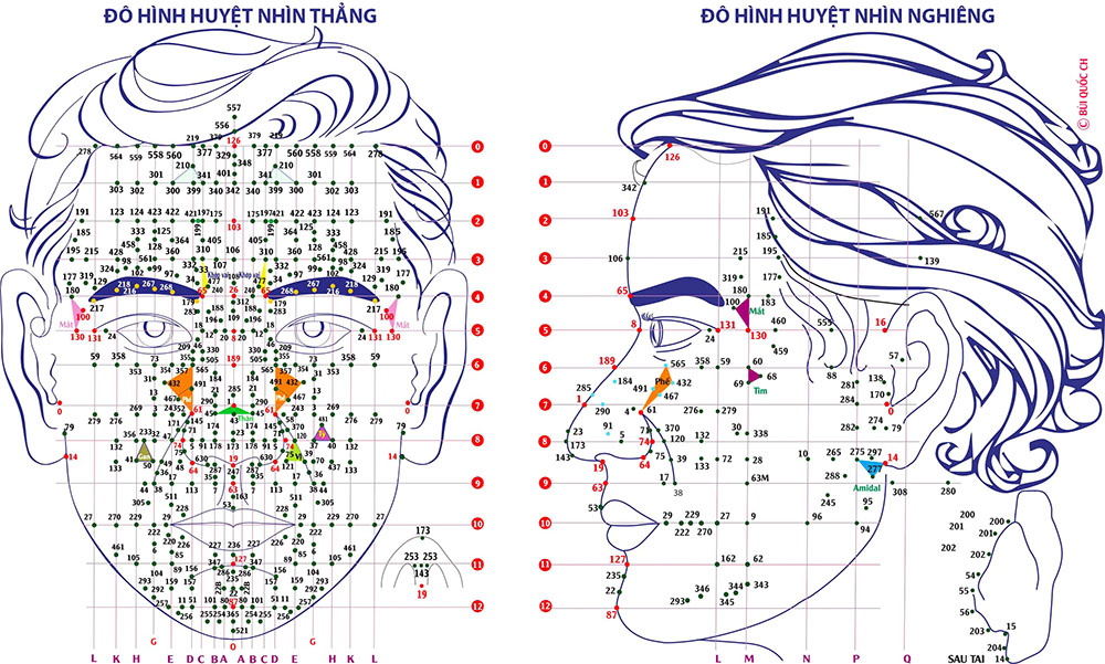 Diện Chẩn Đà Nẵng