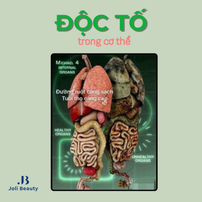 độc tố trong cơ thể